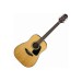 TAKAMINE GD10 NS